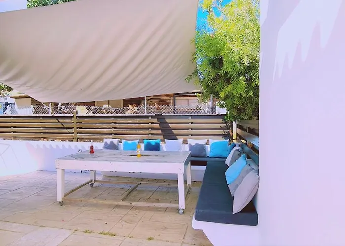 Panorama - Kamelia *