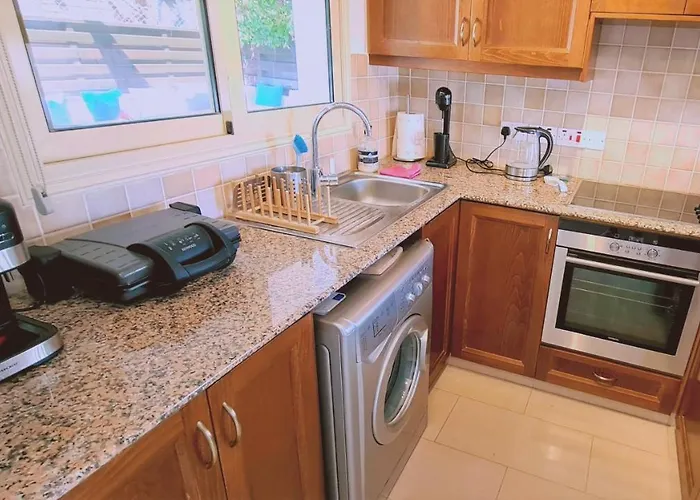 Panorama - Kamelia *