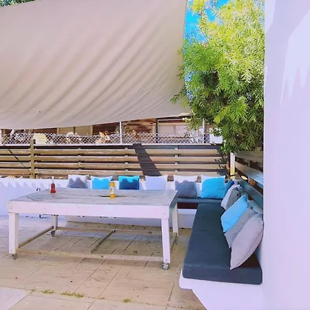 Panorama - Kamelia *