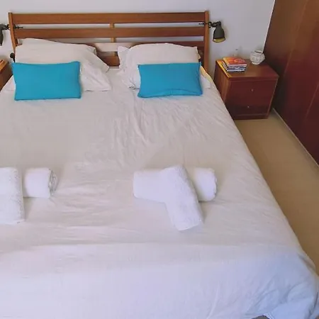 فيلة Panorama - Kamelia